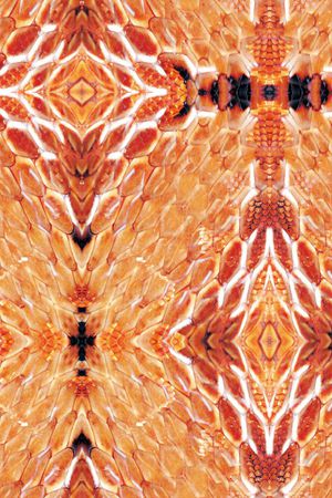 休闲印花华亿平台图片