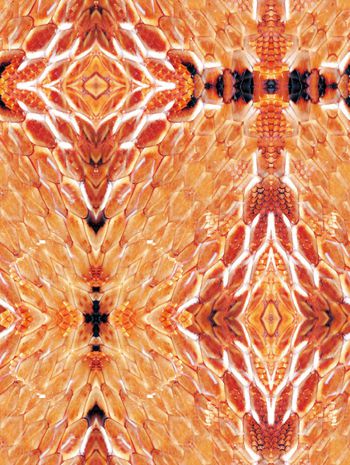 251312-WT105动物纹蛇纹颜色对称印花花