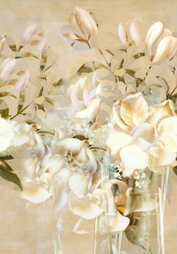 251346-抽象油画花笔触花卉华亿平台印花