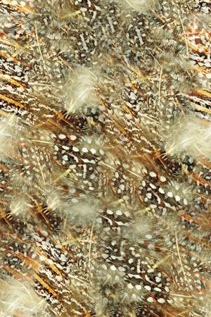 肌理印花华亿平台图片