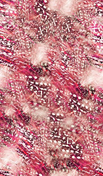 251353-雀鸟羽毛点抽象印花华亿平台