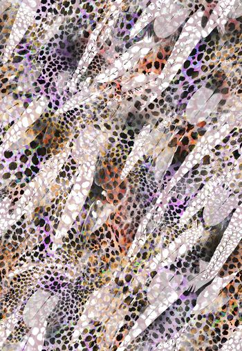 251371-动物纹羽毛豹纹组合