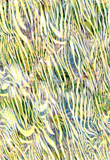 251374-动物纹斑马纹豹纹组合