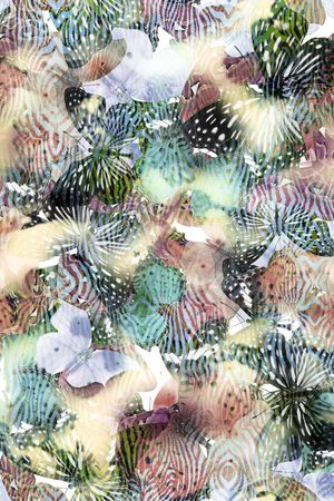 印花华亿平台图片