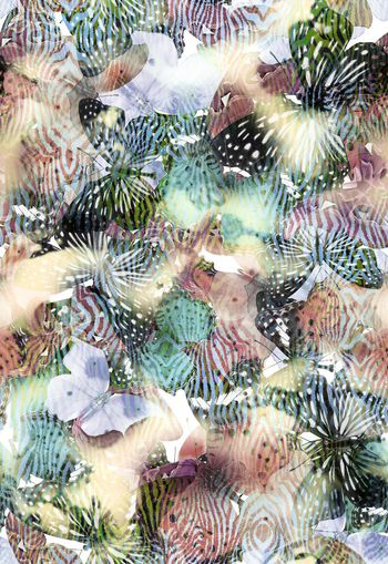 251378-动物纹斑马纹蝴蝶豹纹组合