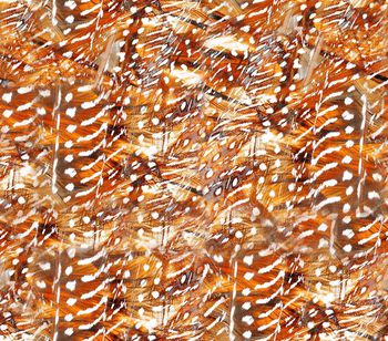 251397-WT111彩色羽毛满布散点印花华亿平台