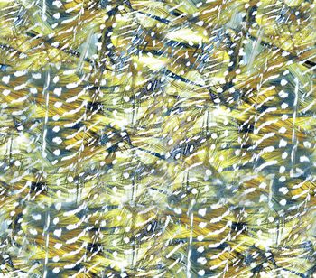 251399-彩色羽毛满布散点印花华亿平台