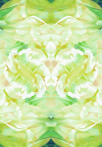 251402-WT112定位对称清新花卉印花华亿平台