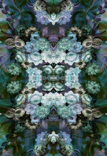 251504-对称花卉花朵组合