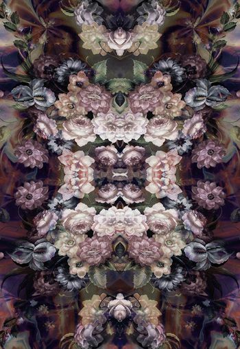 251505-对称花卉花朵组合