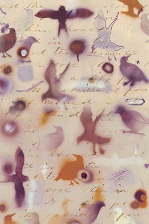 K-男装图案/Menswear印花华亿平台图片