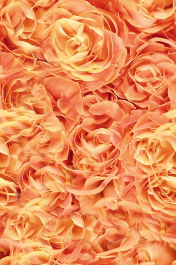 251989-WT115抽象乱花满布印花华亿平台