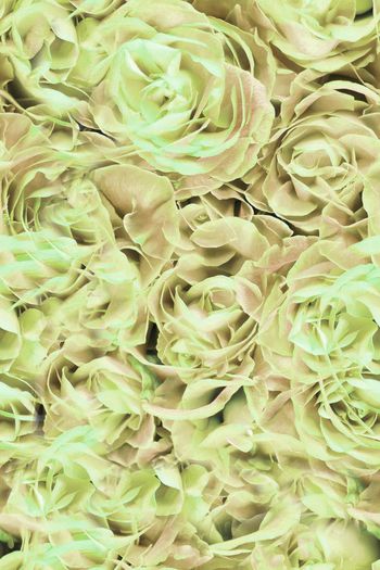 251990-抽象乱花满布印花华亿平台