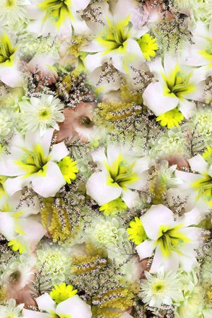 朦胧 满底 花卉 照片 写实印花华亿平台图片