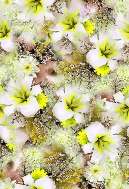 朦胧 满底 花卉 照片 写实印花华亿平台图片