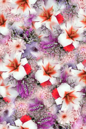 印花华亿平台图片