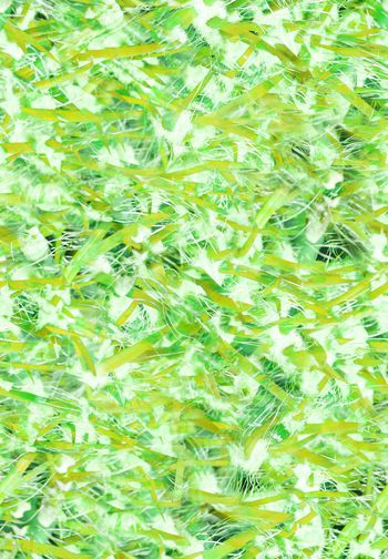 252023-WT120抽象几何植物肌理纹华亿平台印