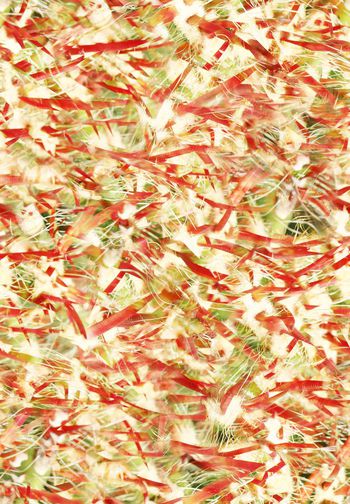 252024-抽象几何植物肌理纹华亿平台印花