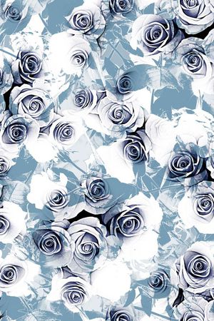 老年装 老年人 花卉 肌理  玫瑰印花华亿平台图片