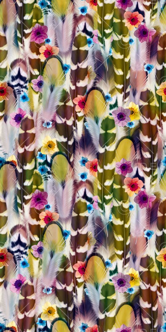 肌理 羽毛 鸟毛 鸟的羽毛印花华亿平台图片