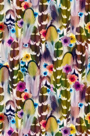 肌理 羽毛 鸟毛 鸟的羽毛印花华亿平台图片