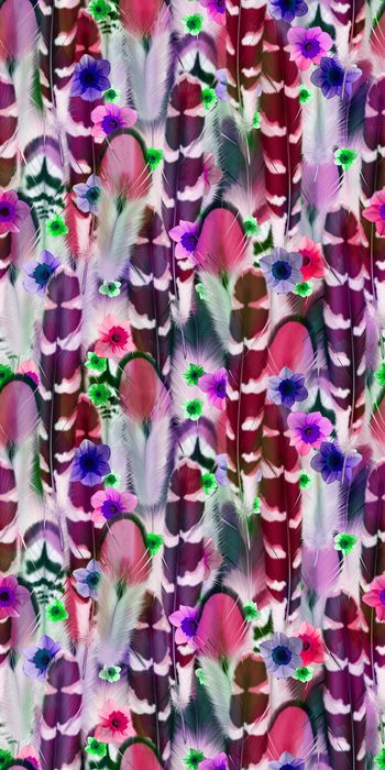 252441-BF0079-1数码服装华亿平台