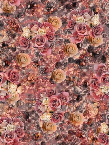 252457-BF0088老年装华亿平台