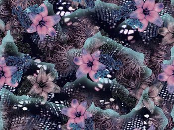 252460-BF0090老年服装华亿平台