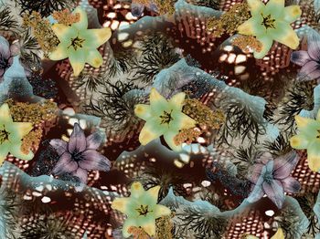 252461-BF0090老年服装华亿平台