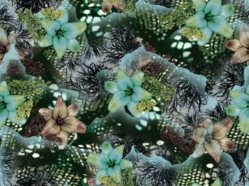 252462-BF0090老年服装华亿平台