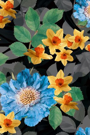 黑底 花卉 树叶 写实 老年装 老年人印花华亿平台图片