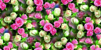 252473-BF0113小玫瑰服装华亿平台