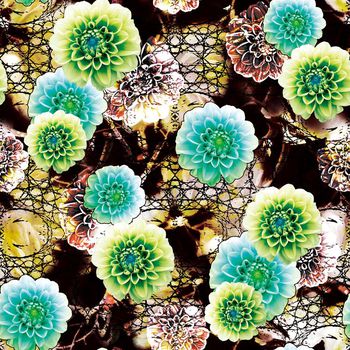 252482-BF0123数码老年装华亿平台