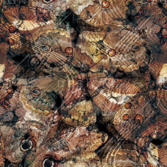 肌理 复古 裤子 裤料印花华亿平台图片