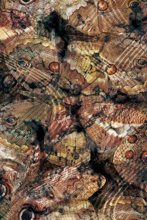 肌理 复古 裤子 裤料印花华亿平台图片