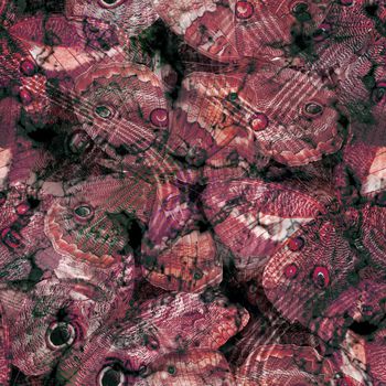 252488-BF0129裤料华亿平台