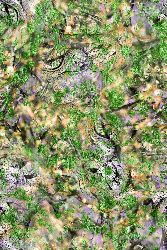 肌理 蛇纹裤子 裤料印花华亿平台图片