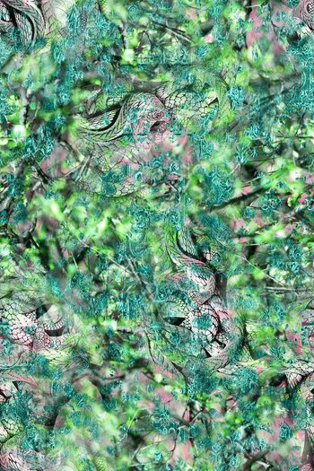 252512-BF0381服装裤料华亿平台