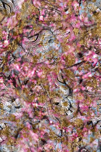 252513-BF0381服装裤料华亿平台