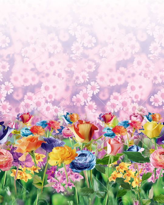 定位 花卉 写实 照片印花华亿平台图片