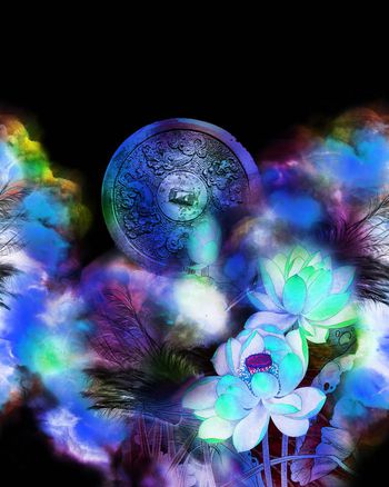 252797-BF0135-1数码定位服装华亿平台