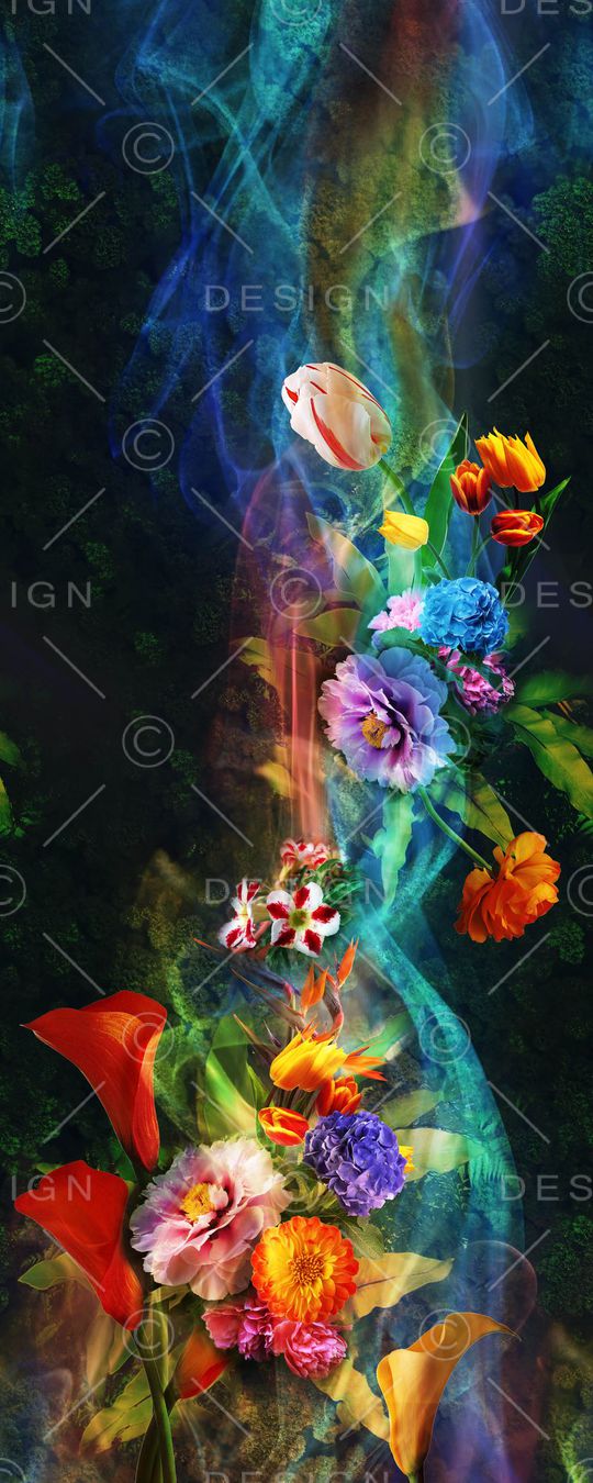 定位 炫彩 花卉 烟雾 黑底 大气印花华亿平台图片