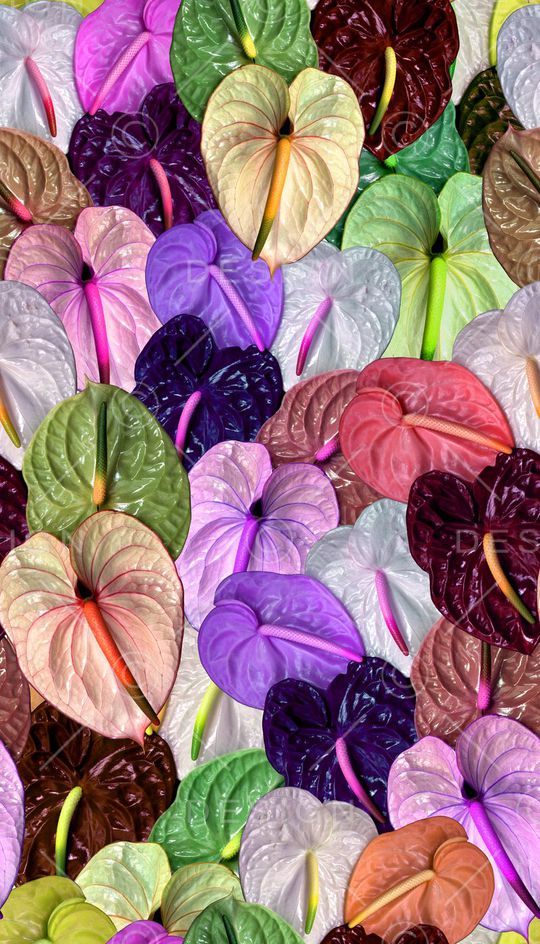 红鹤花 树叶 肌理印花华亿平台图片