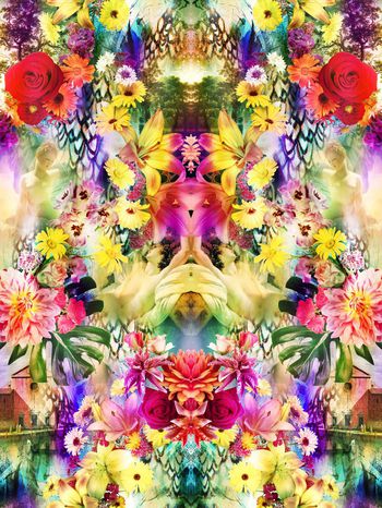 253032-BF0376数码服装华亿平台