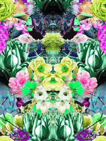 253036-BF0377数码定位付服装华亿平台