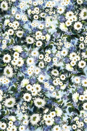 小雏菊 花卉印花华亿平台图片