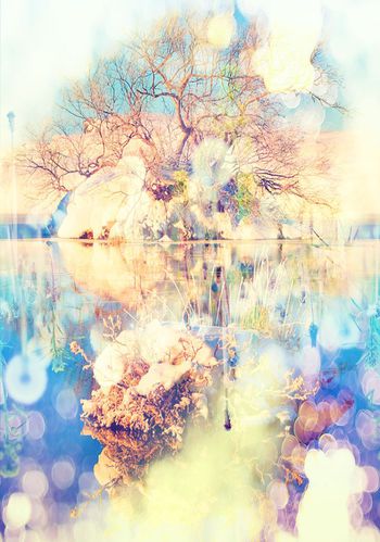 253205-定位朦胧风景