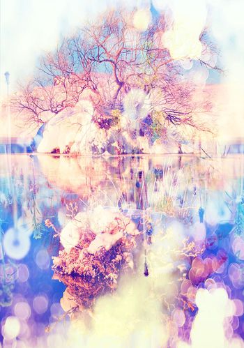 253206-定位朦胧风景