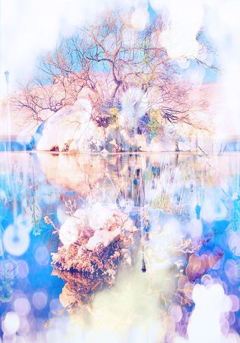 253207-定位朦胧风景