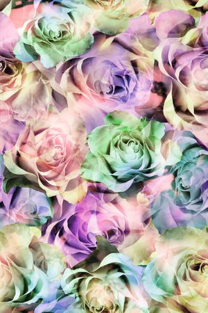 玫瑰 大花 满底 浪漫 花朵 漂亮 印花华亿平台图片